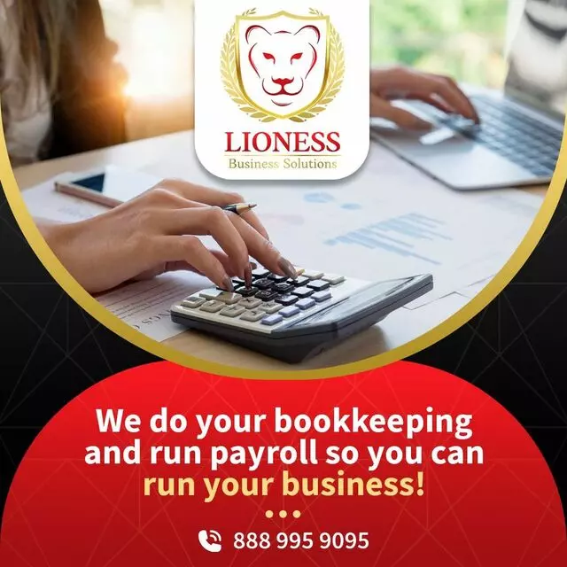 Lioness Business Solutions