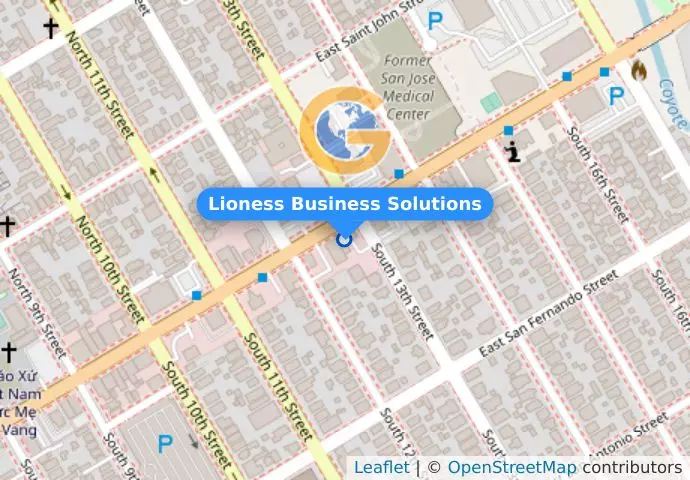 Lioness Business Solutions