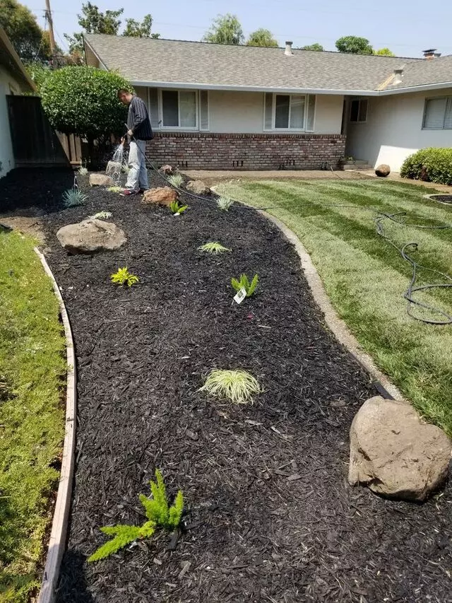 Victor Trejo Gardening