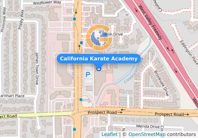 California Karate Academy