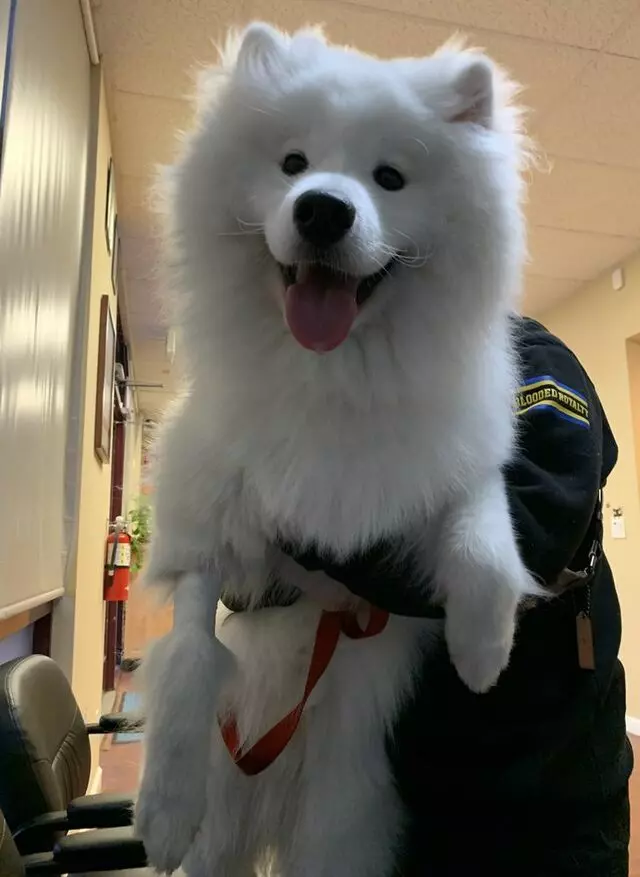 Petcare Animal Hospital