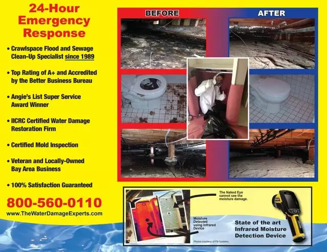 The Water Damage Experts