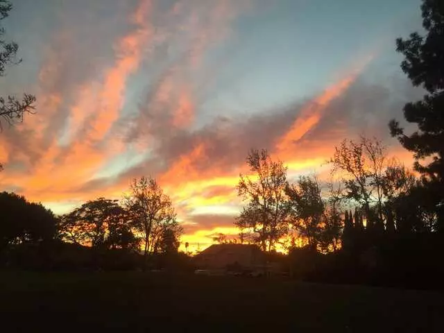 Cimarron Park