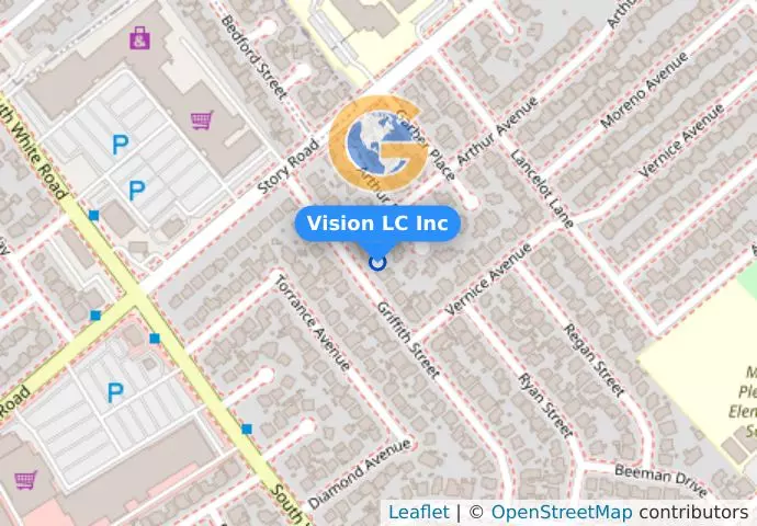 Vision LC Inc