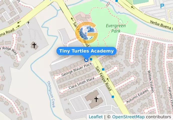 Tiny Turtles Academy