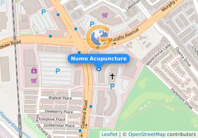 Numo Acupuncture
