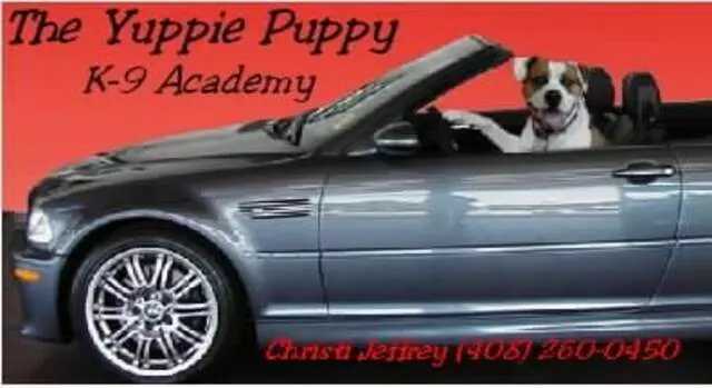 The Yuppie Puppy K-9 Academy Dog Training