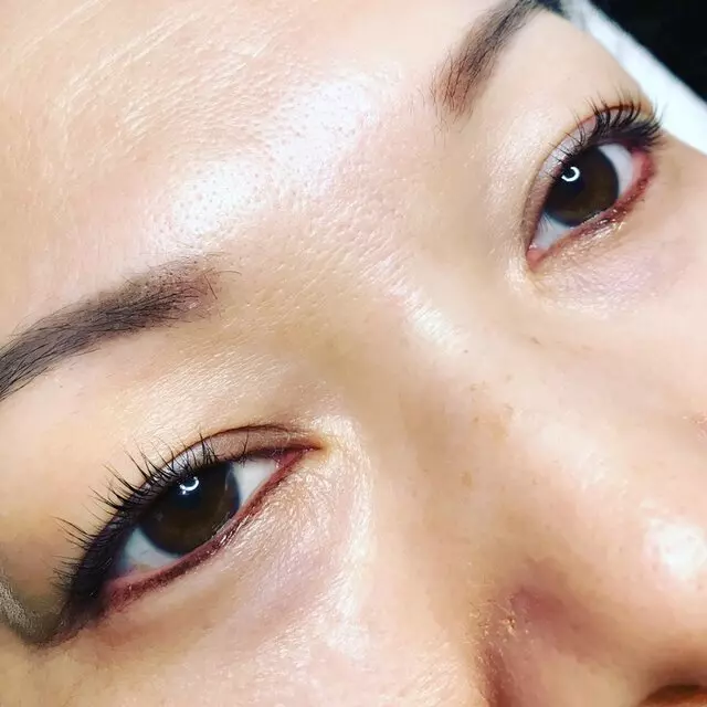 Brows and Lashes by Dana