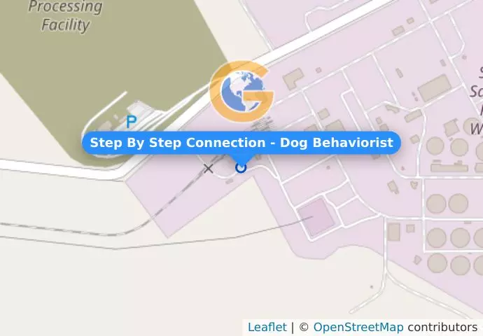 Step By Step Connection - Dog Behaviorist