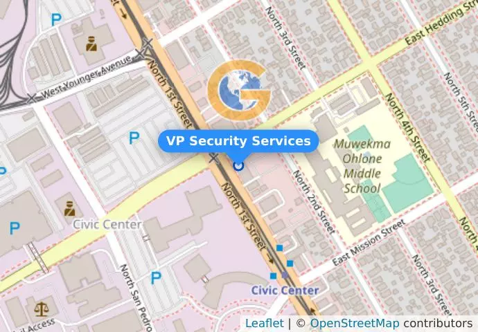 VP Security Services