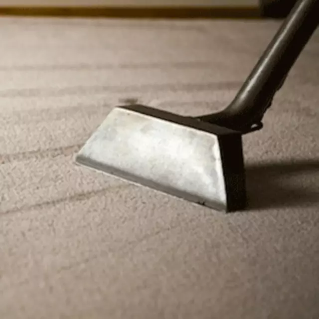 AnExpert Carpet Cleaning