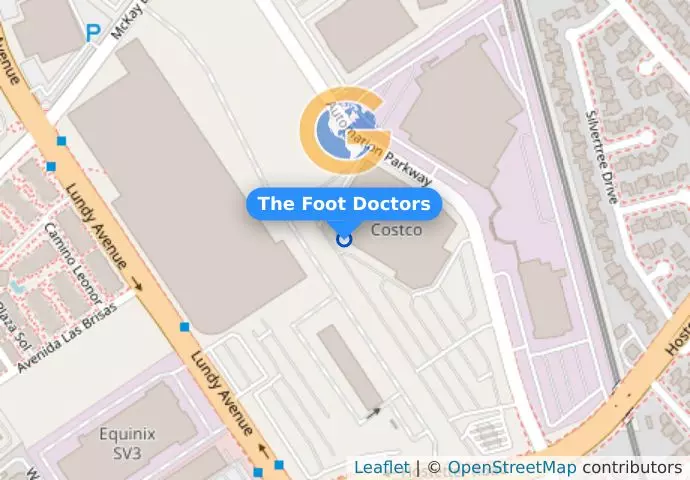 The Foot Doctors