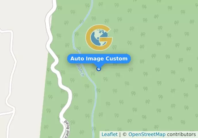 Auto Image Custom