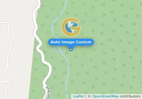 Auto Image Custom