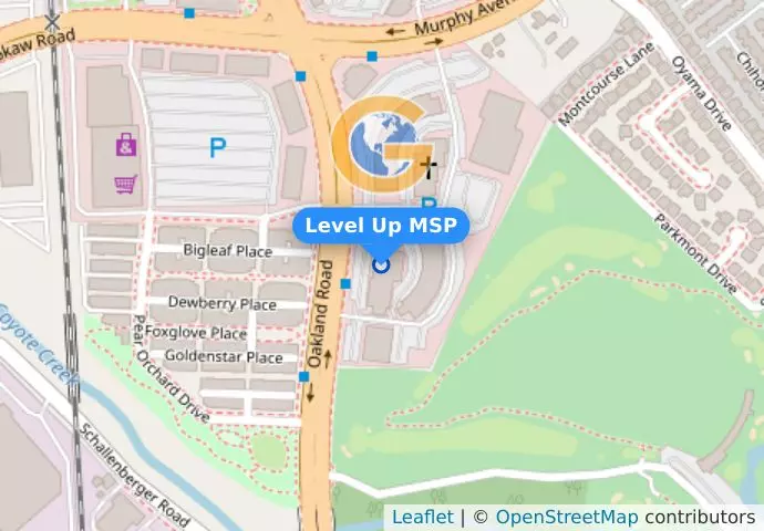 Level Up MSP