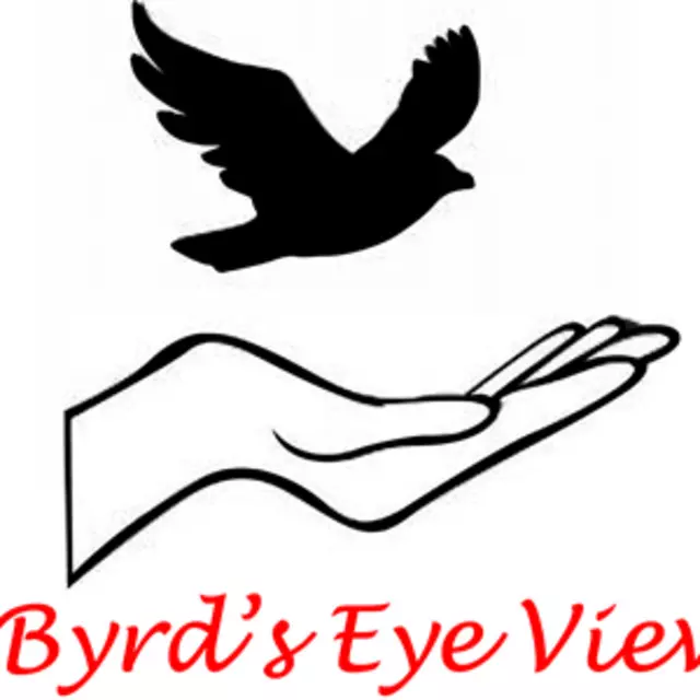 Byrd's Eye View Professional Coaching Solutions