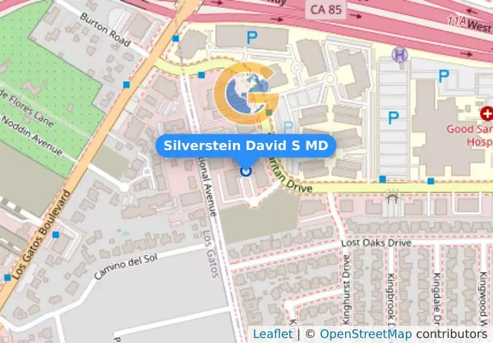 Silverstein David S MD