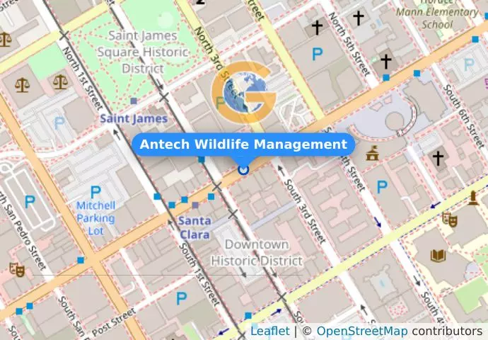 Antech Wildlife Management
