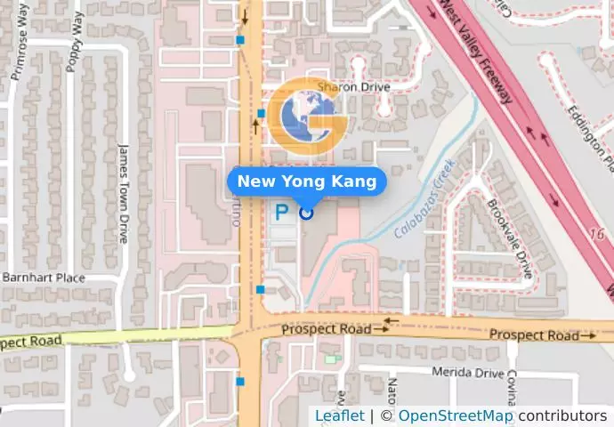 New Yong Kang
