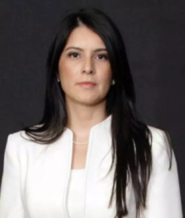 Dania M Alvarenga Attorney At Law