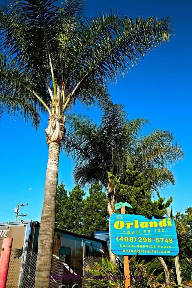 Orlandi Trailer