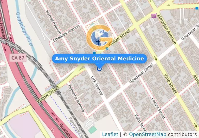 Amy Snyder Oriental Medicine