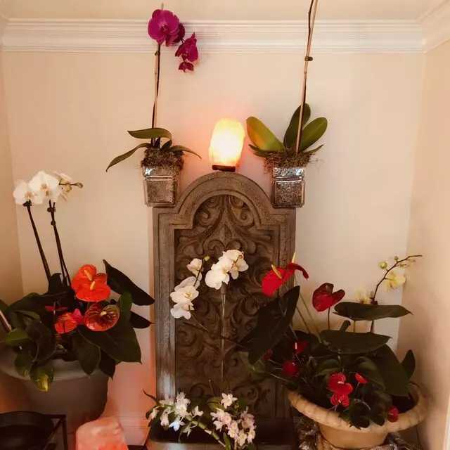 Amelias Therapeutic Rejuvenation