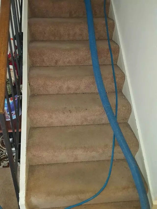 All Pro Carpet Solutions