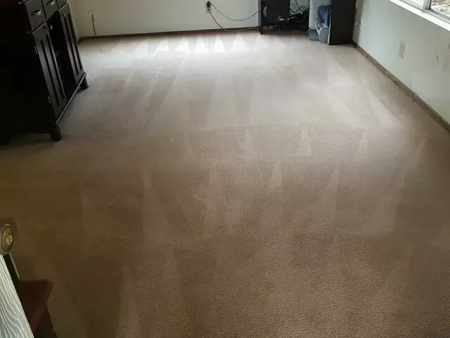 All Pro Carpet Solutions