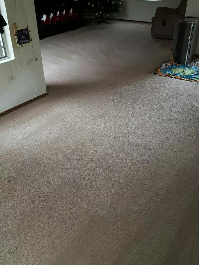 All Pro Carpet Solutions