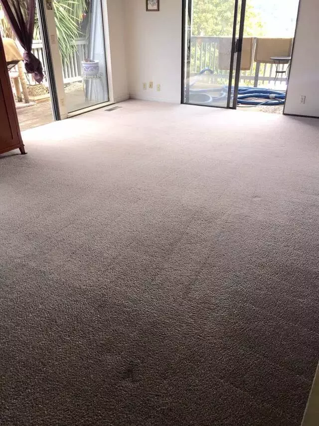 All Pro Carpet Solutions