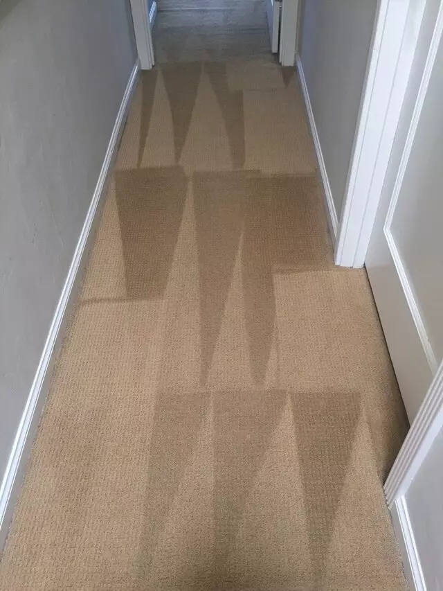 All Pro Carpet Solutions