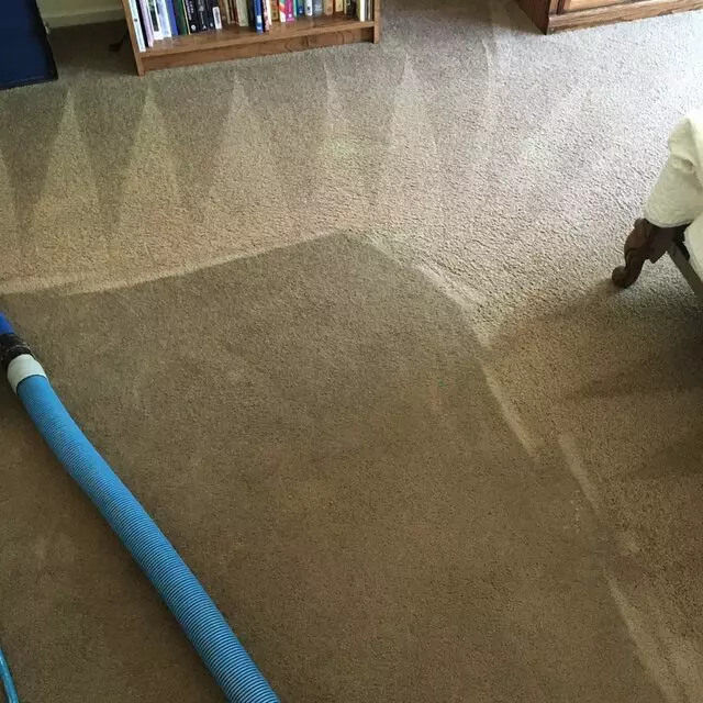 All Pro Carpet Solutions