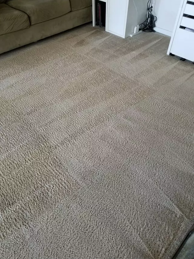 All Pro Carpet Solutions