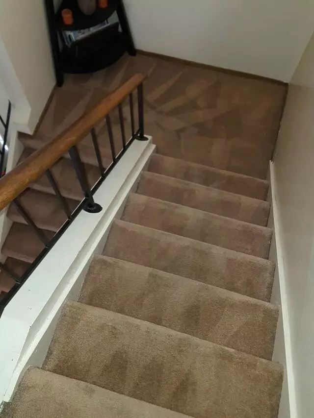 All Pro Carpet Solutions