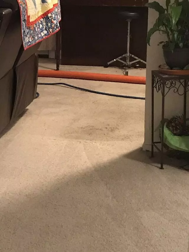 All Pro Carpet Solutions