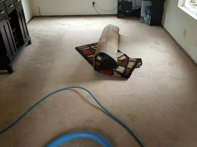 All Pro Carpet Solutions