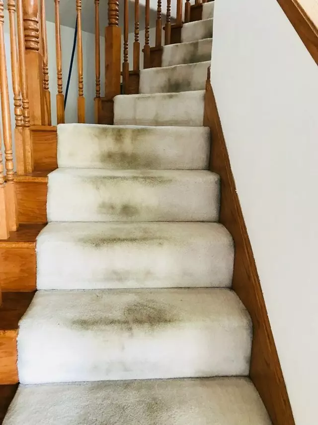 All Pro Carpet Solutions