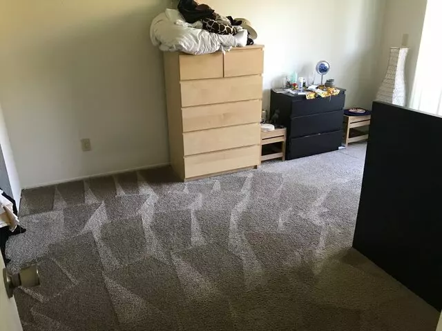 All Pro Carpet Solutions
