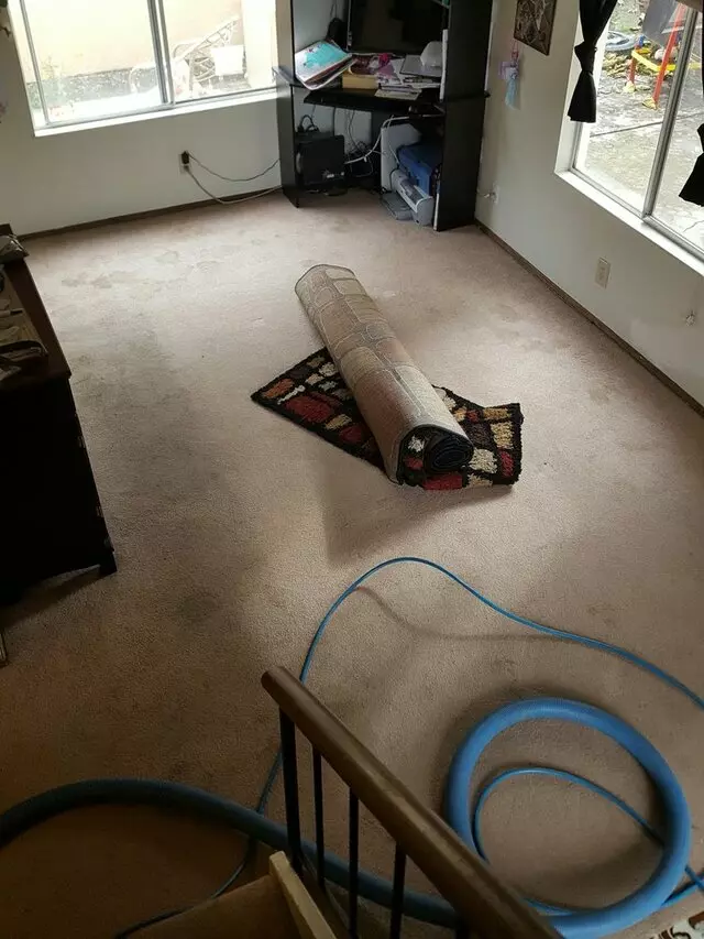 All Pro Carpet Solutions