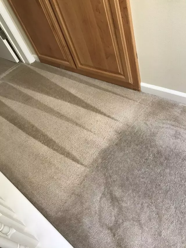 All Pro Carpet Solutions