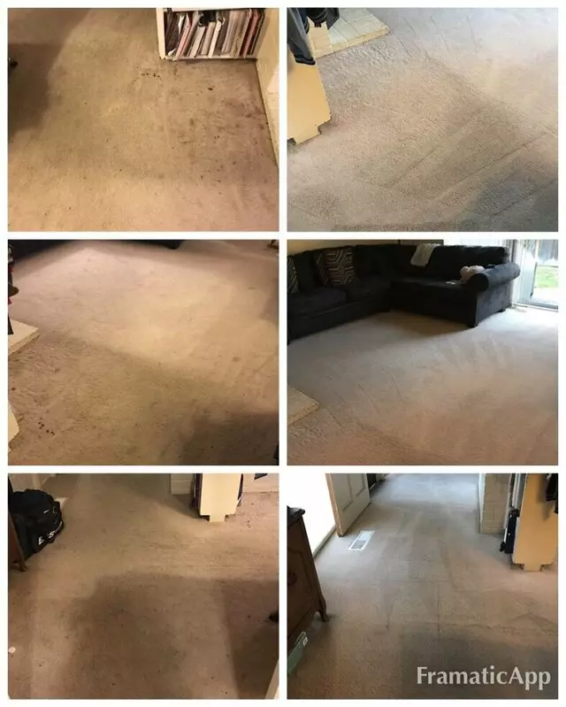 All Pro Carpet Solutions