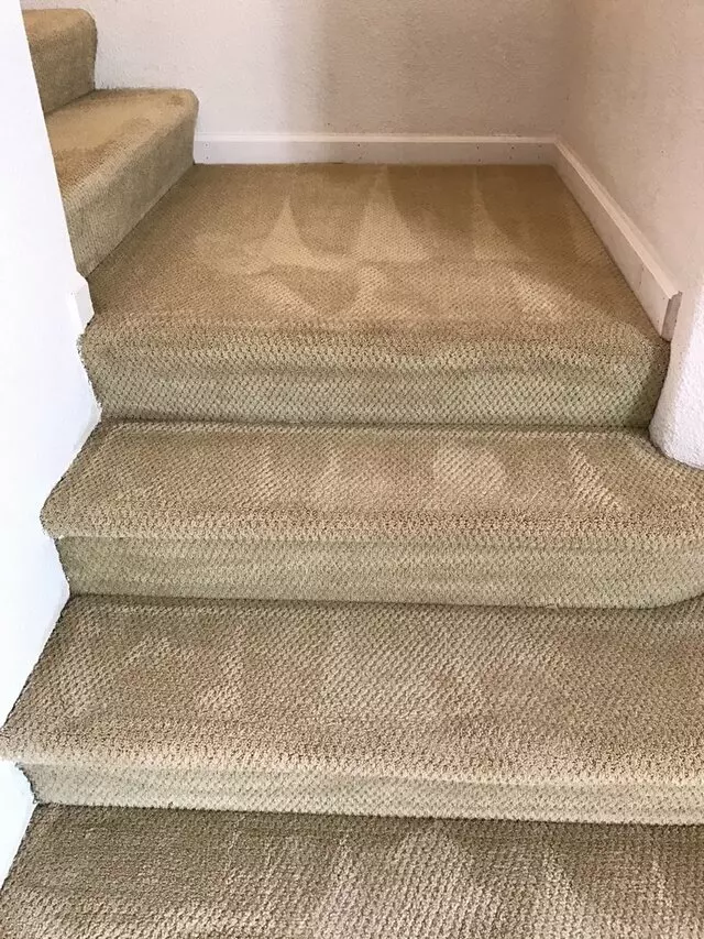 All Pro Carpet Solutions