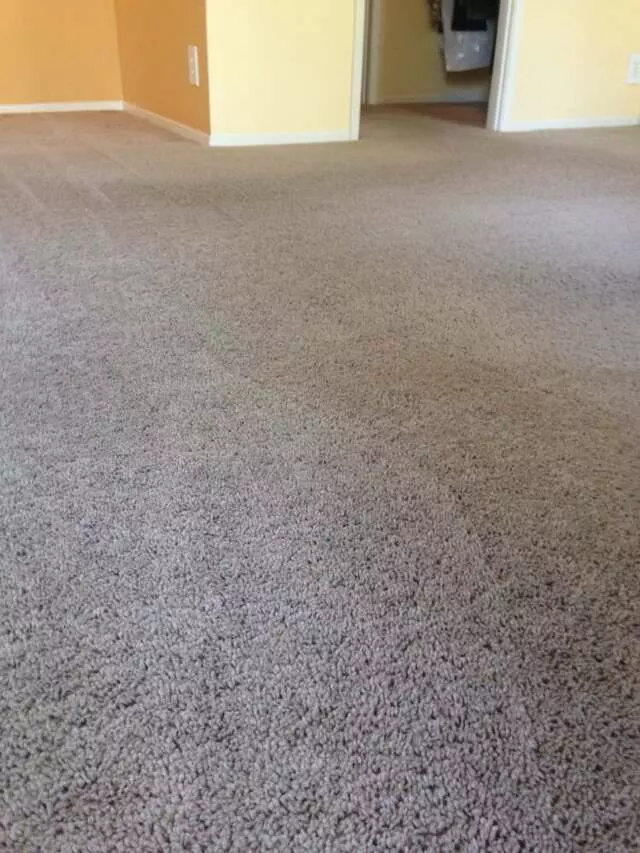 All Pro Carpet Solutions