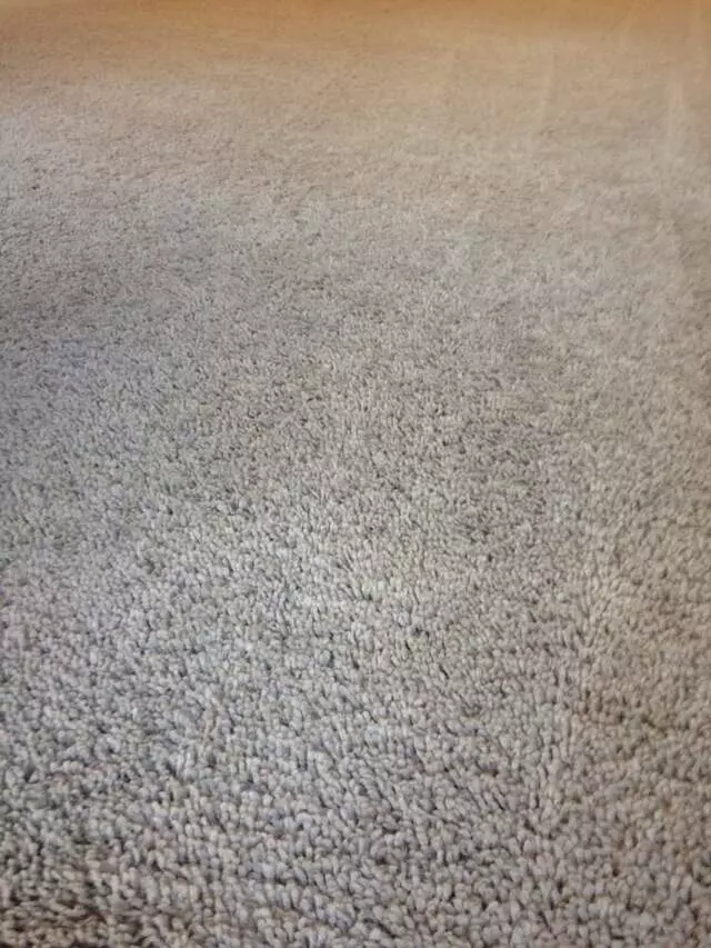 All Pro Carpet Solutions