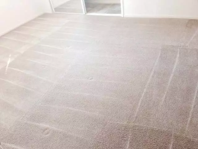 All Pro Carpet Solutions