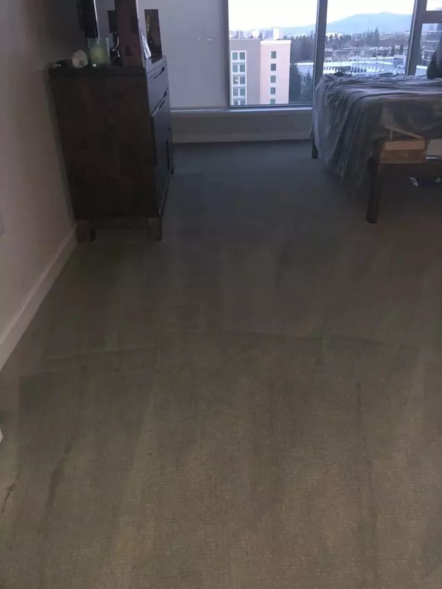 All Pro Carpet Solutions