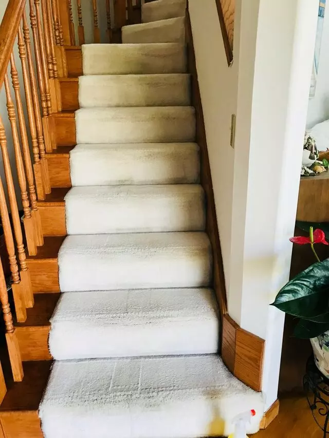 All Pro Carpet Solutions