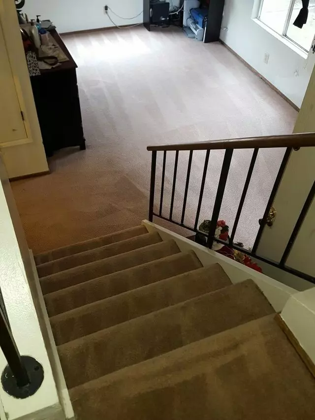 All Pro Carpet Solutions