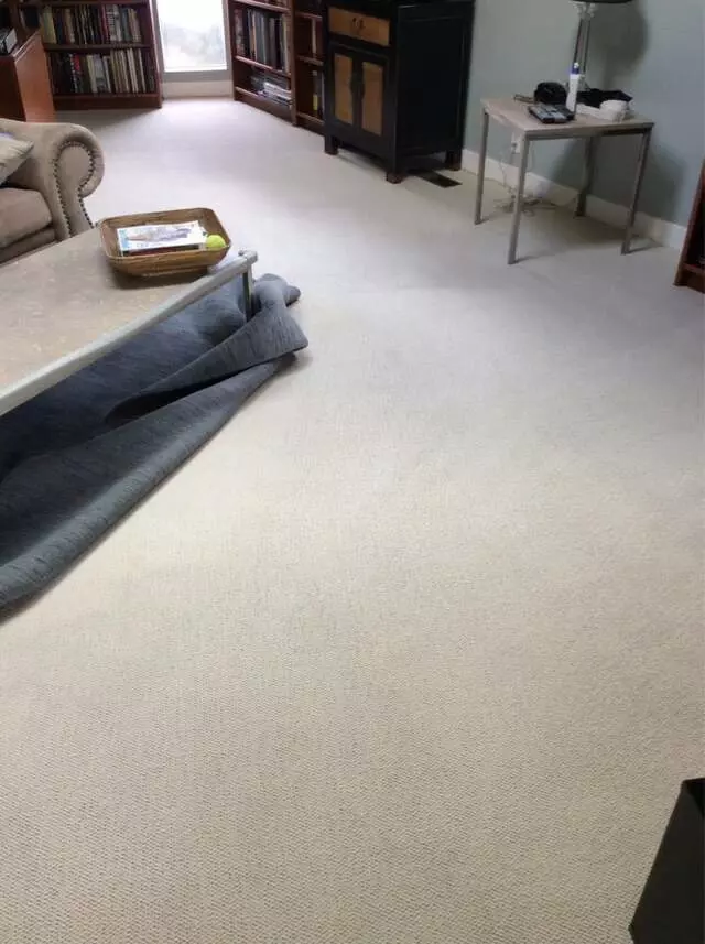 All Pro Carpet Solutions